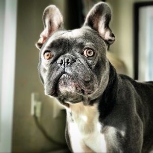 Meet your Posher, Christopher